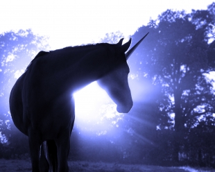 The Perfect Data Scientist - A Mythical Beast?